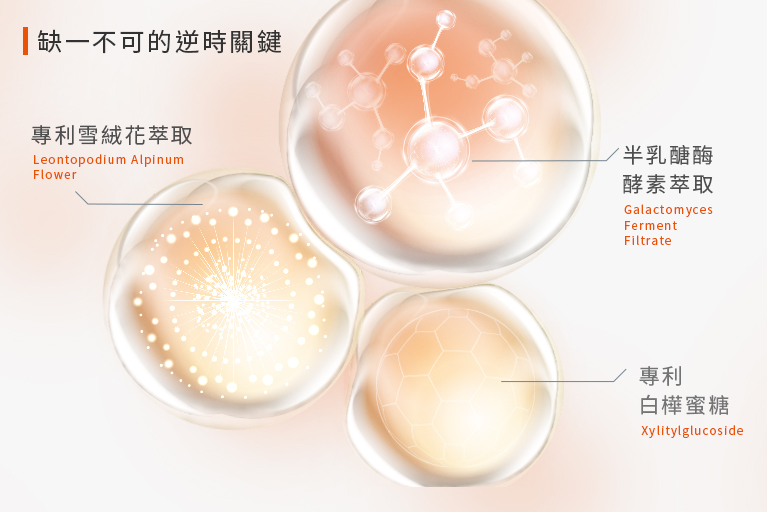 青春露成分半乳醣酶酵素萃取、雪絨花萃取、酵母肽